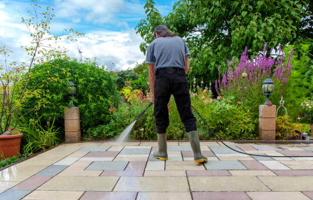 Best Animal Enclosure Cleaning  in West Blocton, AL